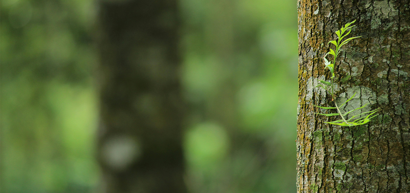 Reduce your environmental impact